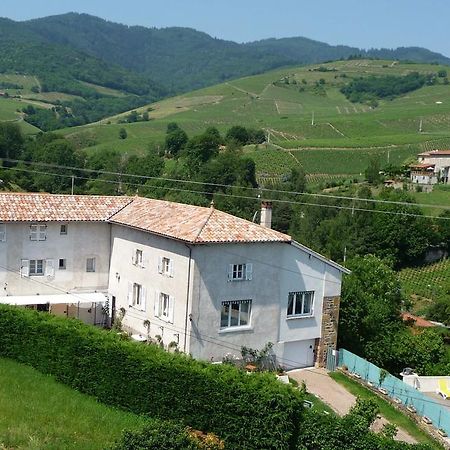 Les Picorettes Vaux-en-Beaujolais المظهر الخارجي الصورة