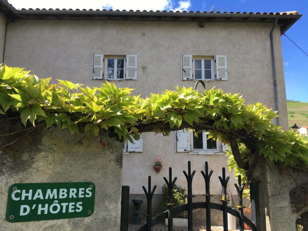 Les Picorettes Vaux-en-Beaujolais المظهر الخارجي الصورة